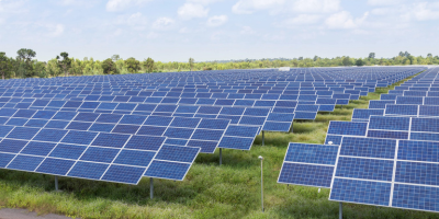 Top Solar Companies Powering a Sustainable Future