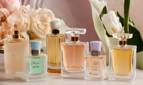 Olfapedia: Your Complete Guide to Choosing the Perfect Perfume for Every Style