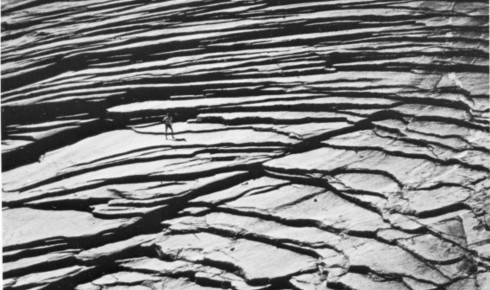 Fox Global Material Resistance Chart